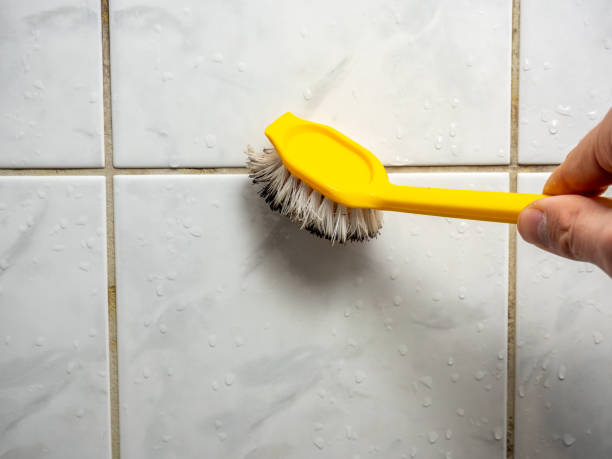 Best Residential Mold Remediation in Arnold, MD